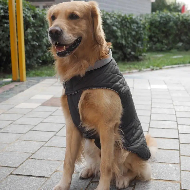 Waterproof Dog Coat Reflective Strips by Love My Pet