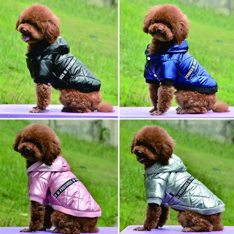 Waterproof Pet Jacket