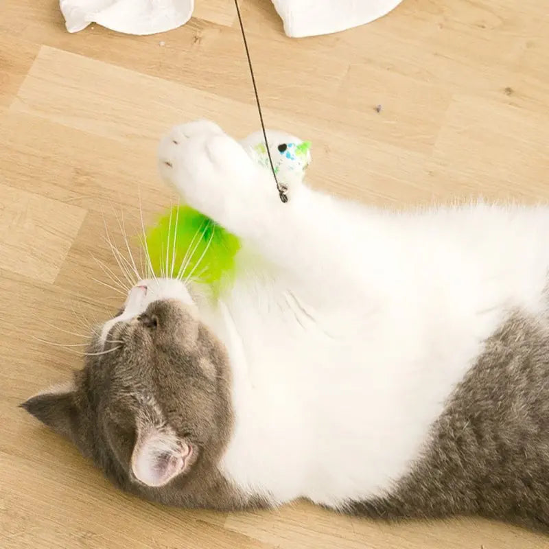Interactive Cat Toy Feather Bird with Multiple Options by Love My Pet
