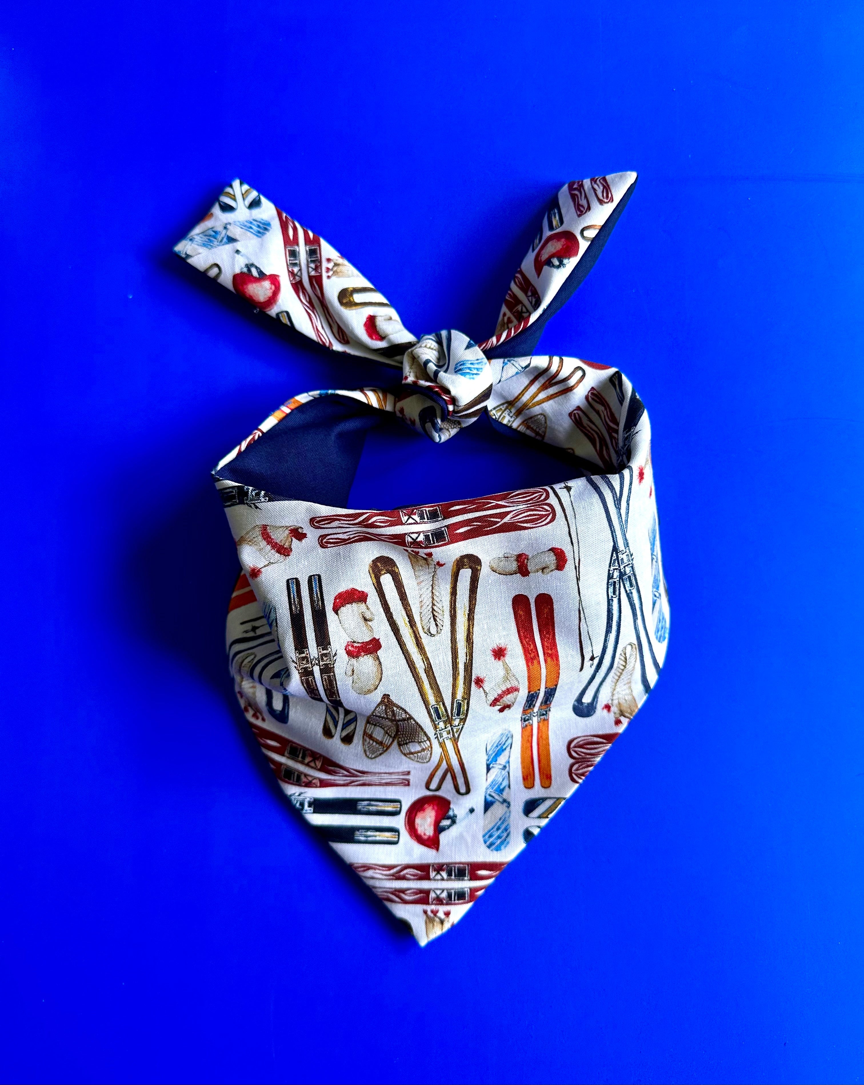 Skiing Dog Bandana by Happy Tails Outfitters