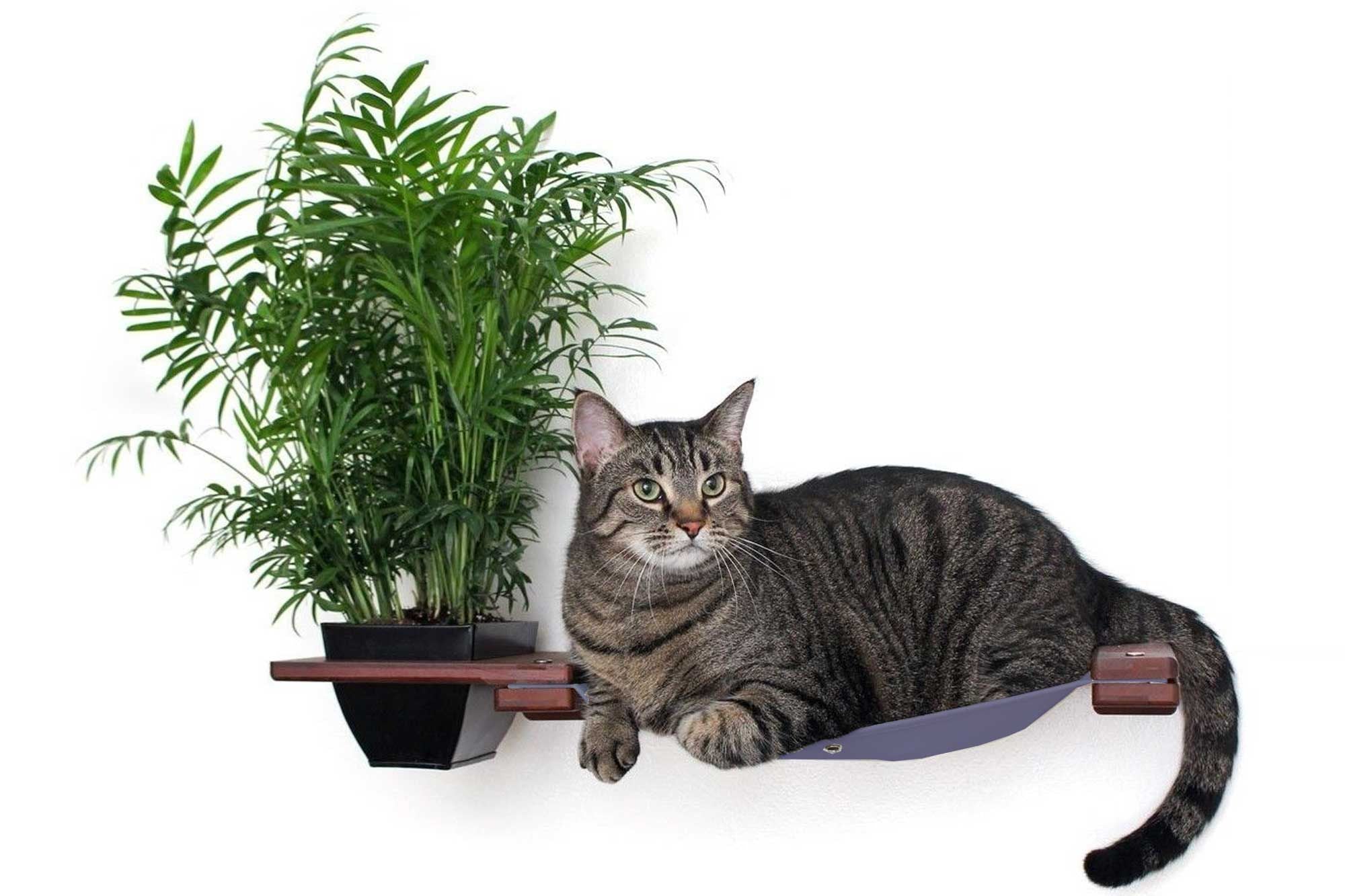Cat Hammock Wall with Planter by Catastrophic Creations