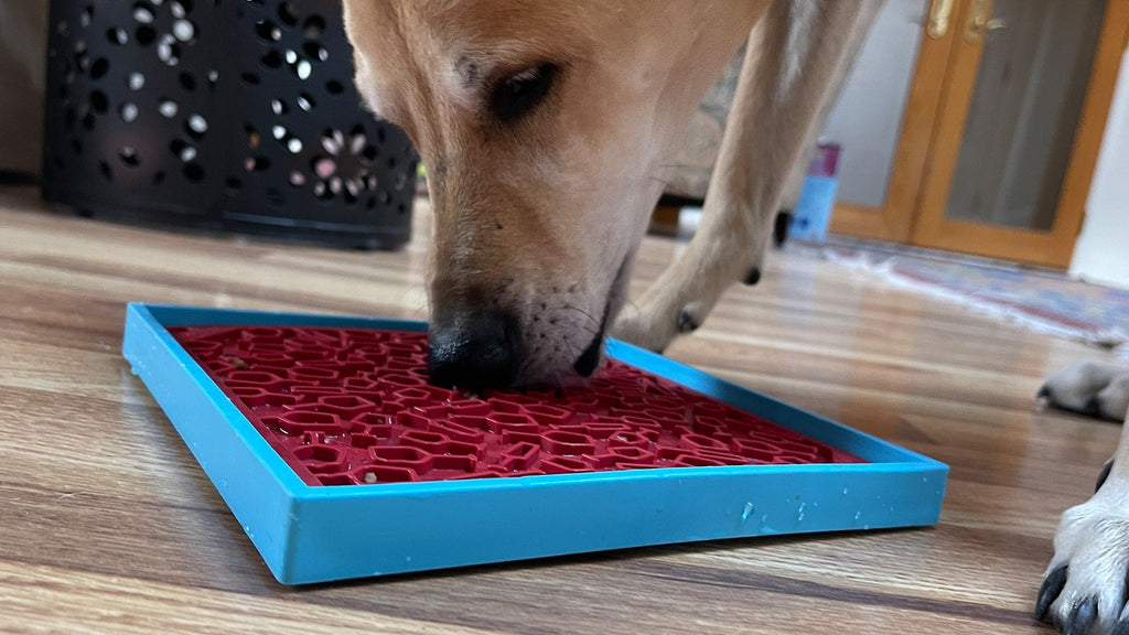 Vino Dog eMat - Enrichment Lick Mat For Dogs and Cats | Wine-Inspired Design| SodaPup by SodaPup/True Dogs, LLC