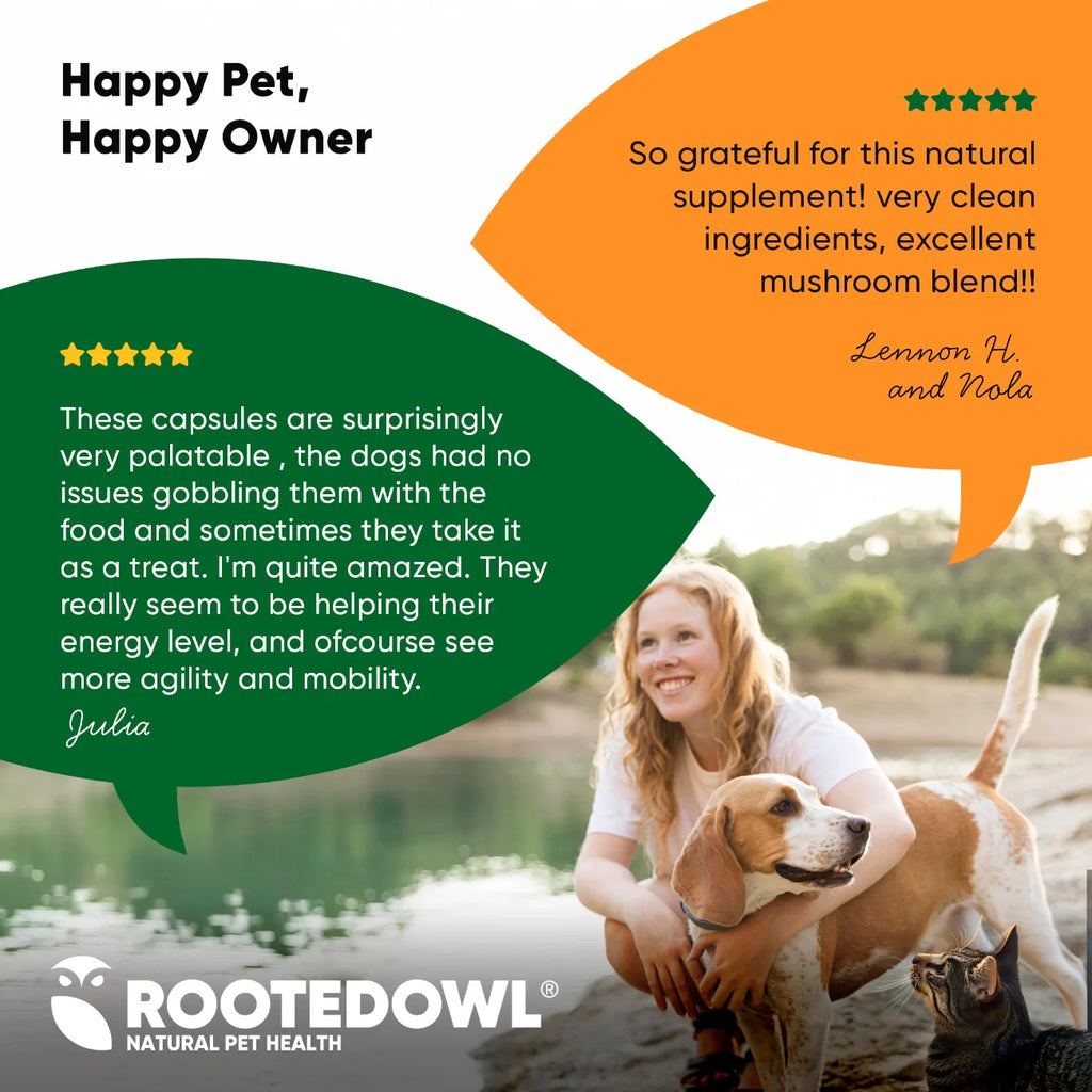 Mushroom Immune Support by Rooted Owl Pet Supplements