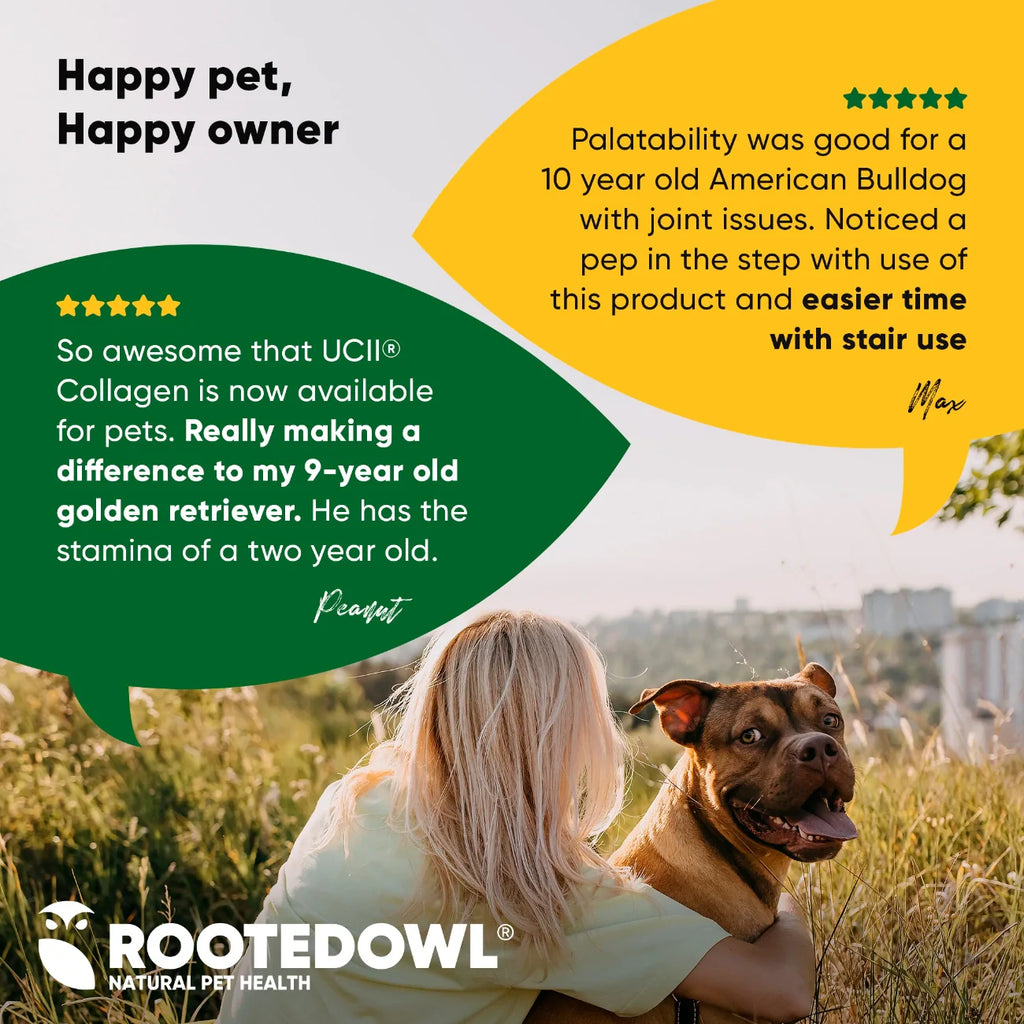Joint & Muscle Health by Rooted Owl Pet Supplements