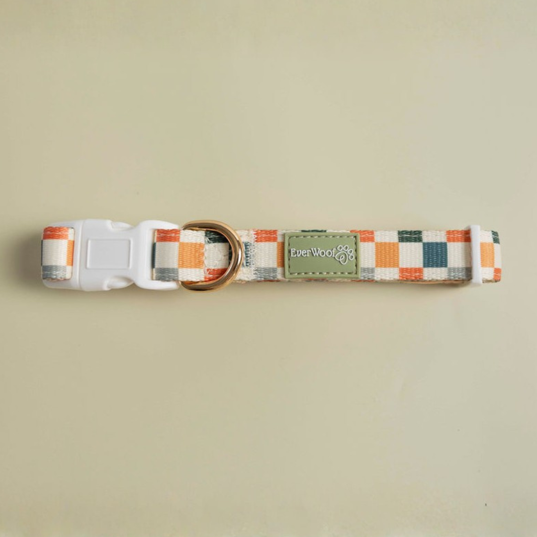 Sage & Cider Collar by EverWoof