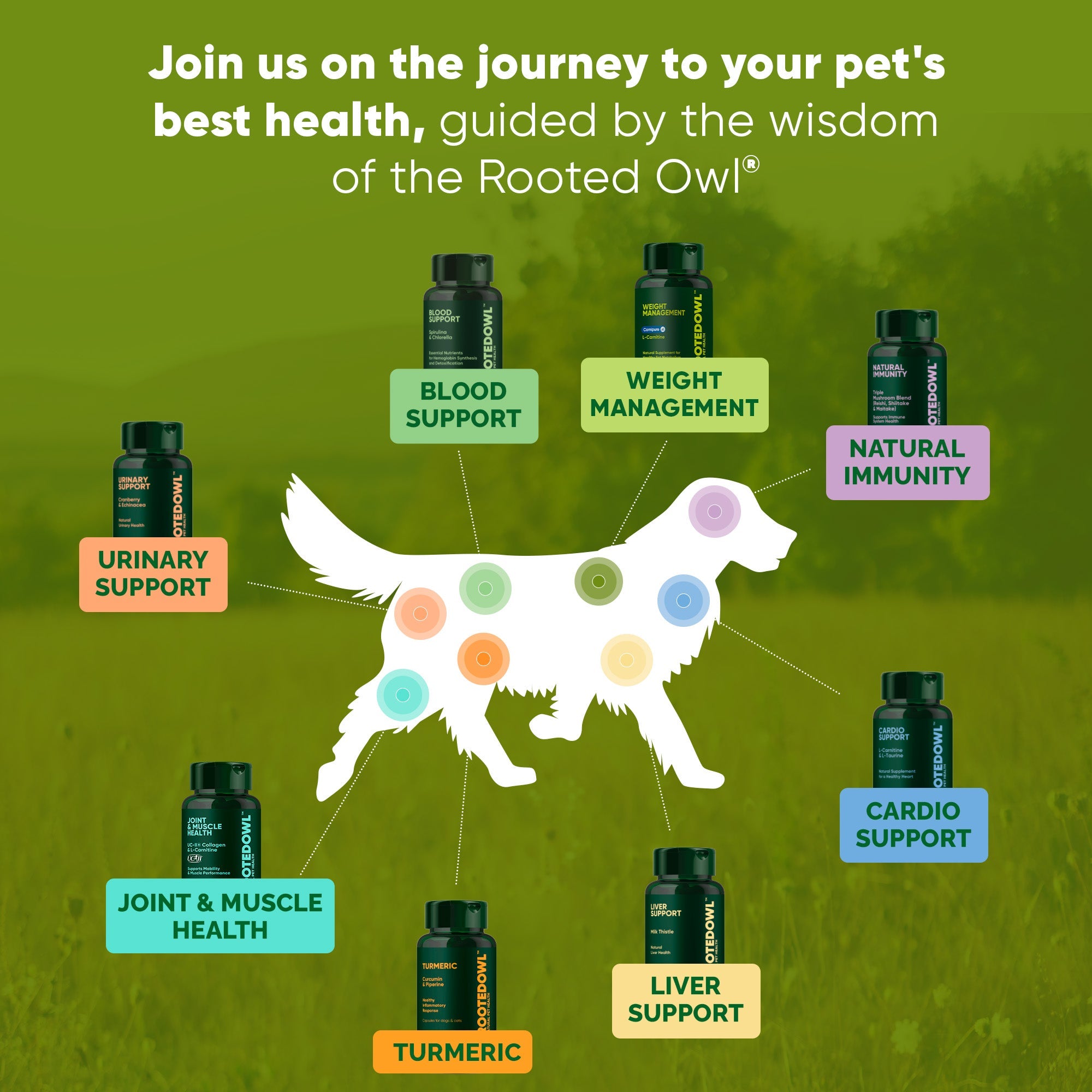 Joint & Muscle Health (Cats & Small Dogs) by Rooted Owl Pet Supplements