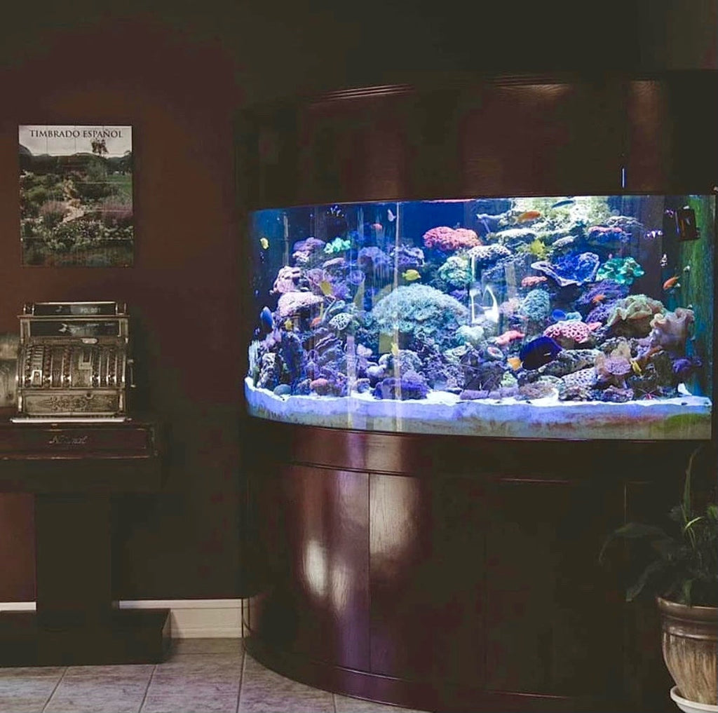 440 Gallon Glass Corner Reef-Ready Aquarium in Rose Cherry Real Wood Furniture by Northeast Aquariums LLC