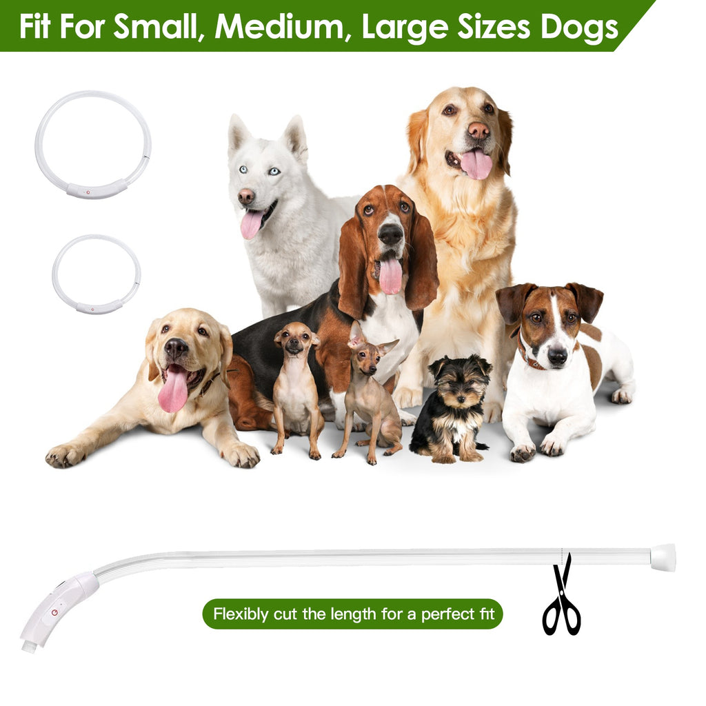 USB Rechargeable LED Dog Collar Multi Color by Amazing Pet Bargains