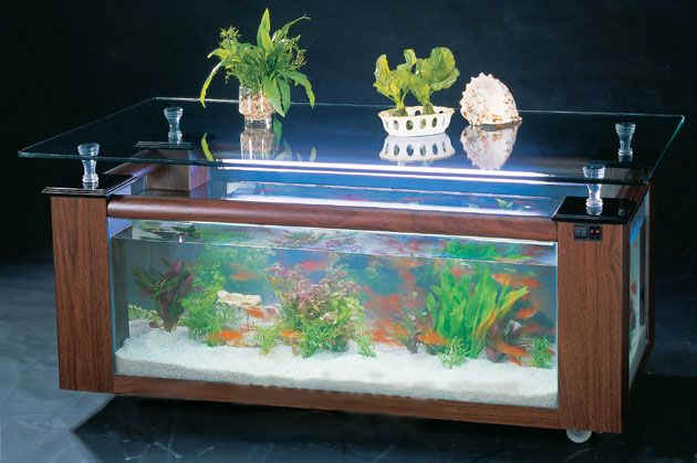 WARRANTY INCLUDED! 45 gallon GLASS rectangle table aquarium fish tank full setup by Northeast Aquariums LLC