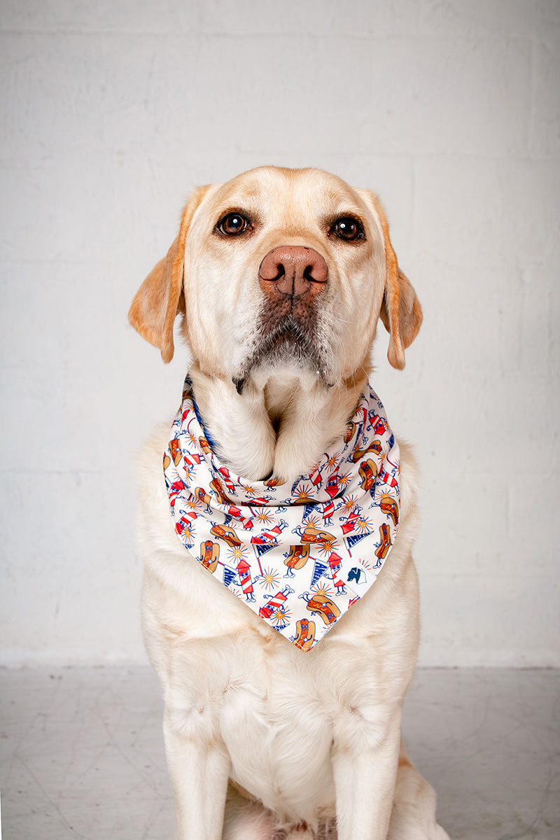 American Summer Dog Bandana by Dog Bandana Co.