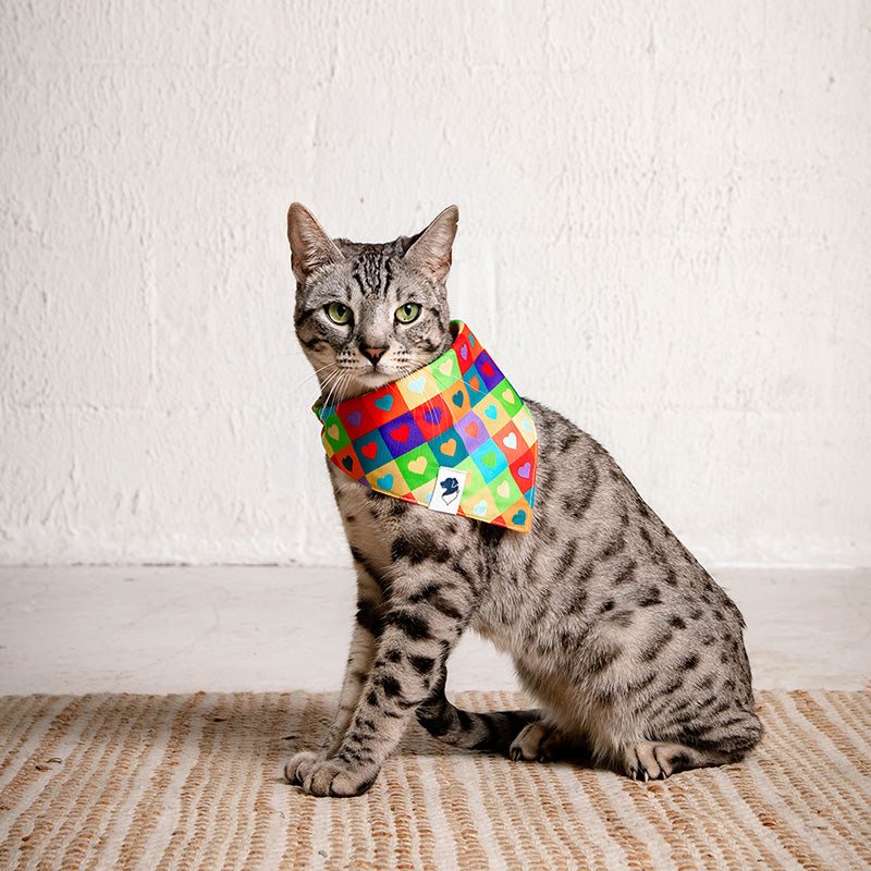 Love Wins Dog Bandana by Dog Bandana Co.