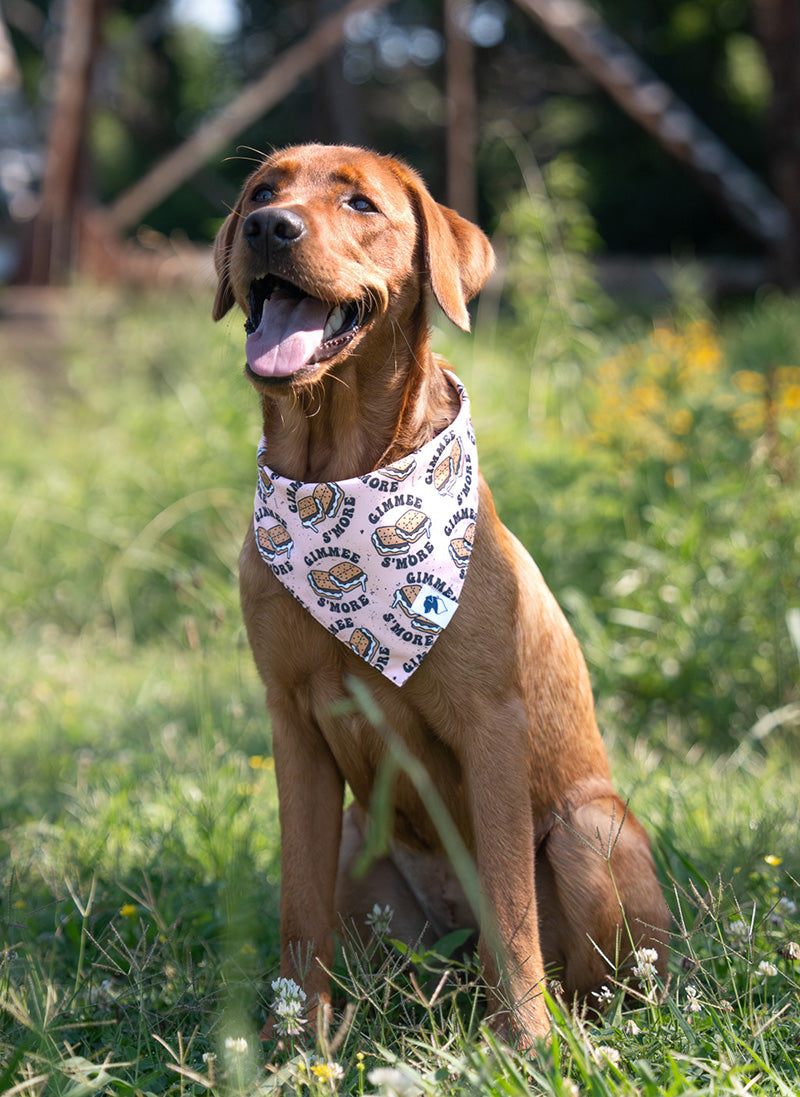Camping & Smores Dog Bandana by Dog Bandana Co.