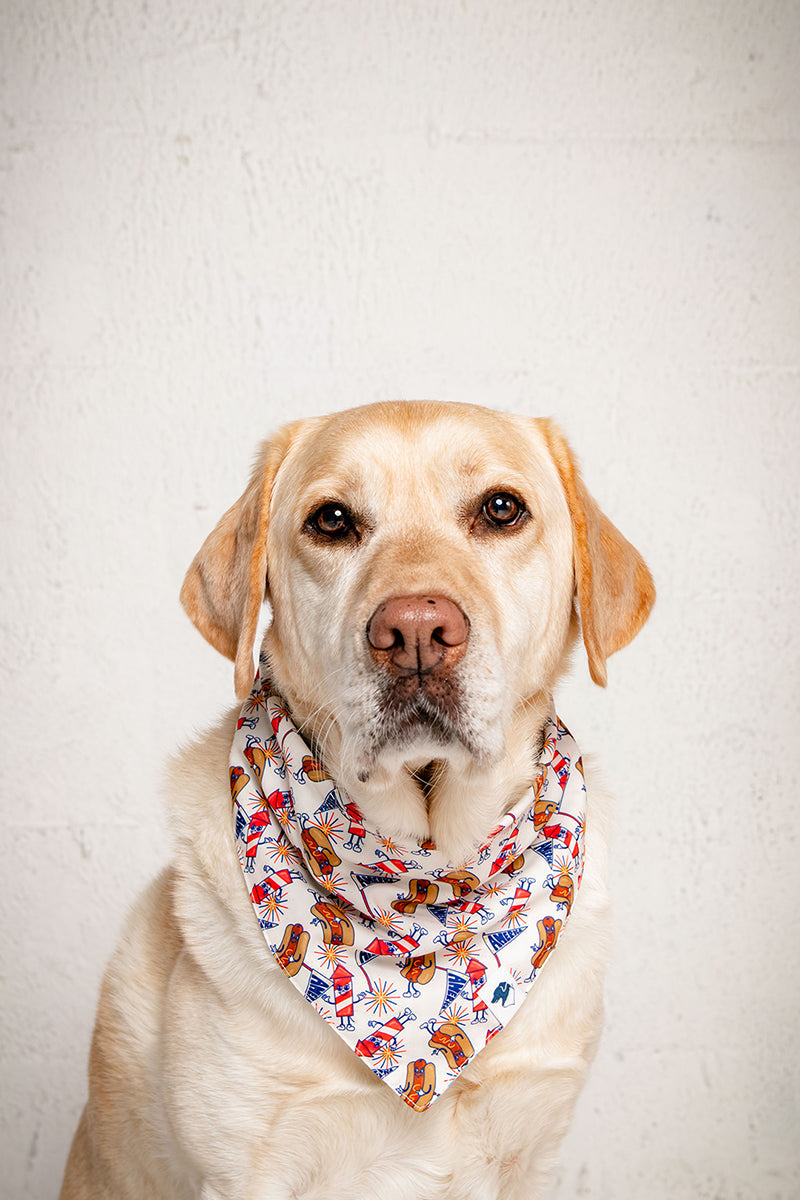 American Summer Dog Bandana by Dog Bandana Co.