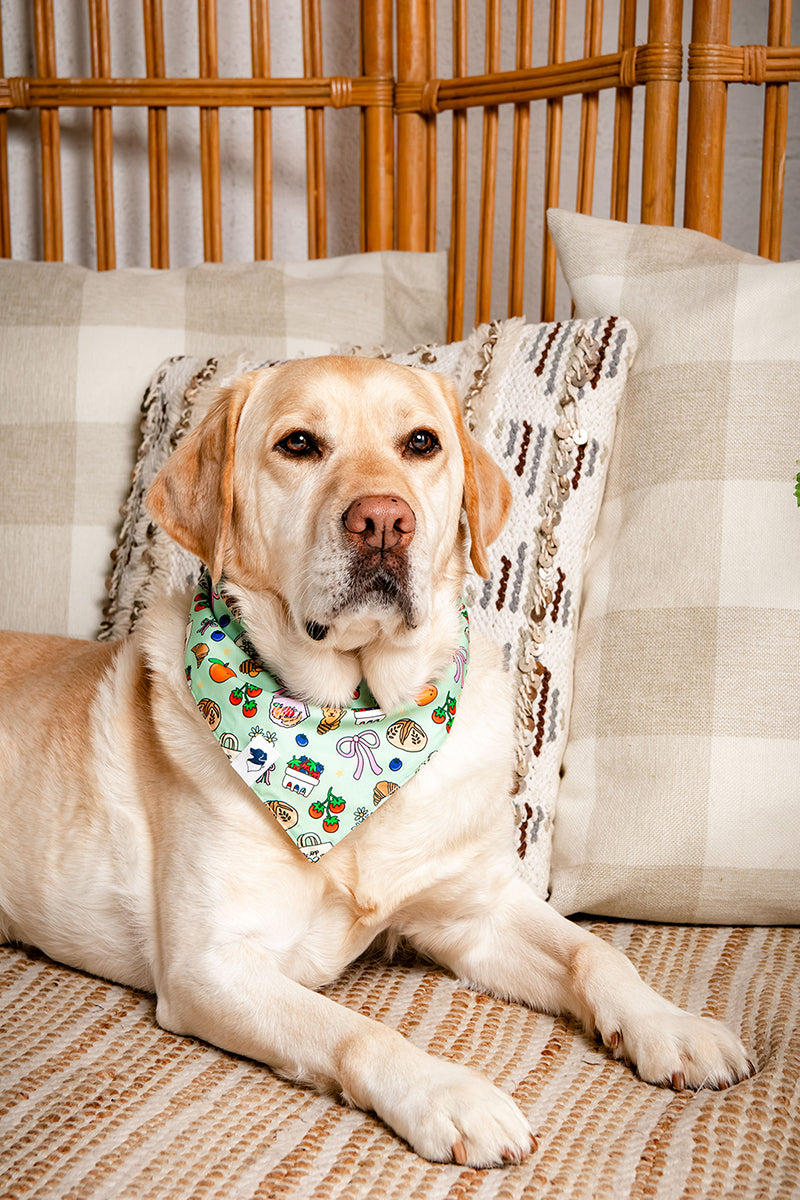 Farmers Market Dog Bandana by Dog Bandana Co.