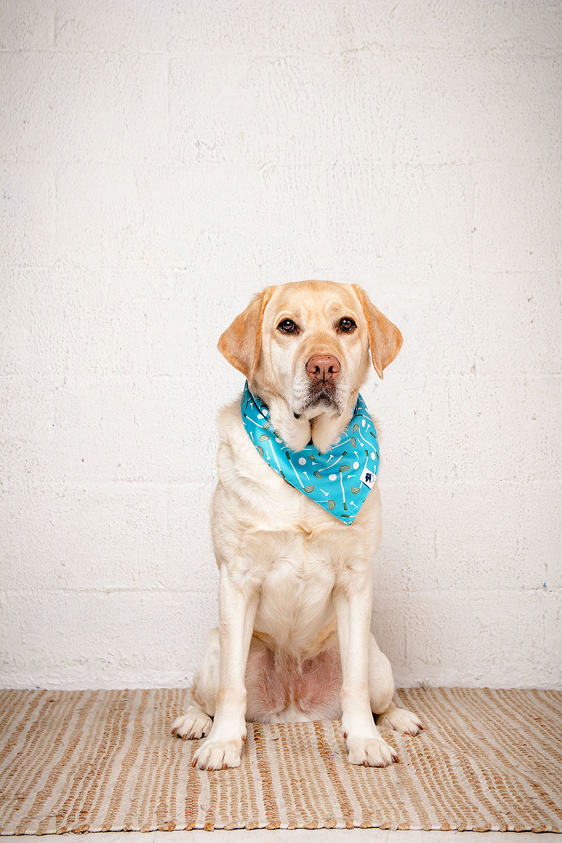 Tee Time Dog Bandana by Dog Bandana Co.