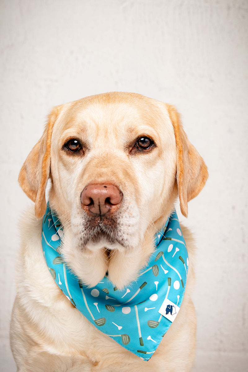 Tee Time Dog Bandana by Dog Bandana Co.