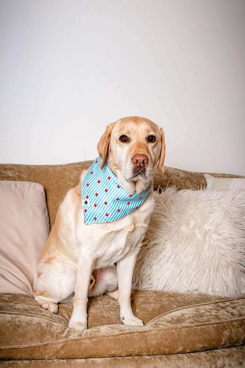American Summer Dog Bandana by Dog Bandana Co.