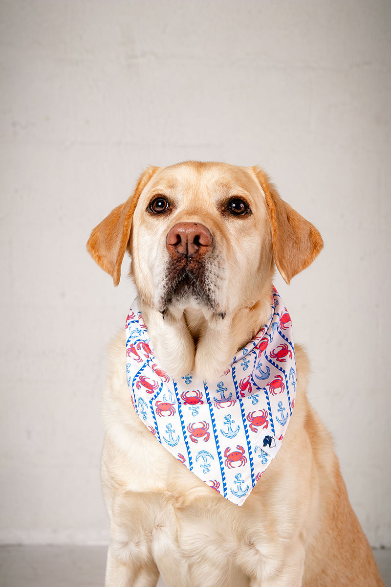 Coastal Charm Dog Bandana by Dog Bandana Co.