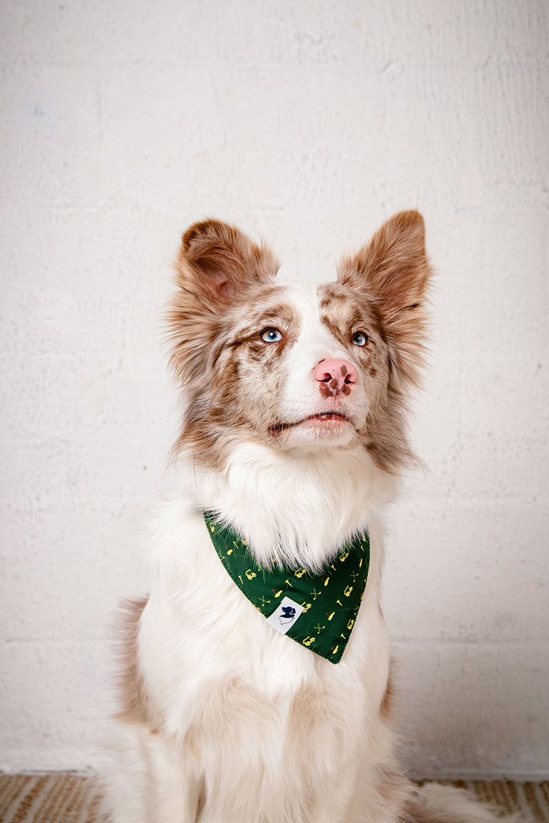 Tee Time Dog Bandana by Dog Bandana Co.