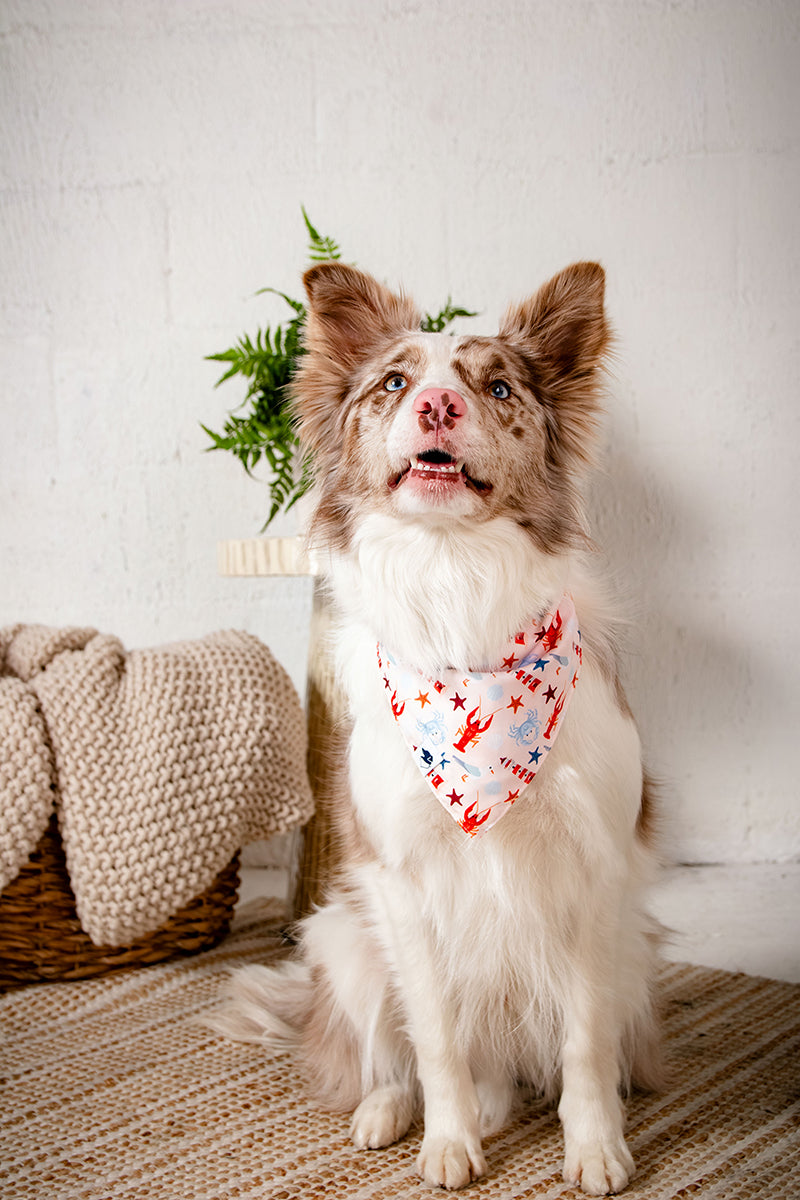 Coastal Charm Dog Bandana by Dog Bandana Co.