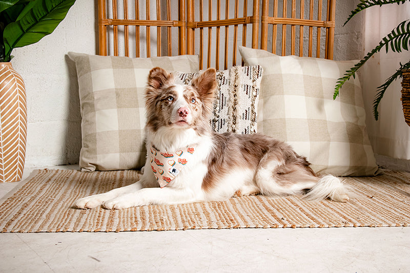 Love Wins Dog Bandana by Dog Bandana Co.