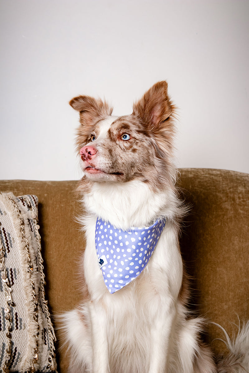 Lavender Dog Bandana by Dog Bandana Co.