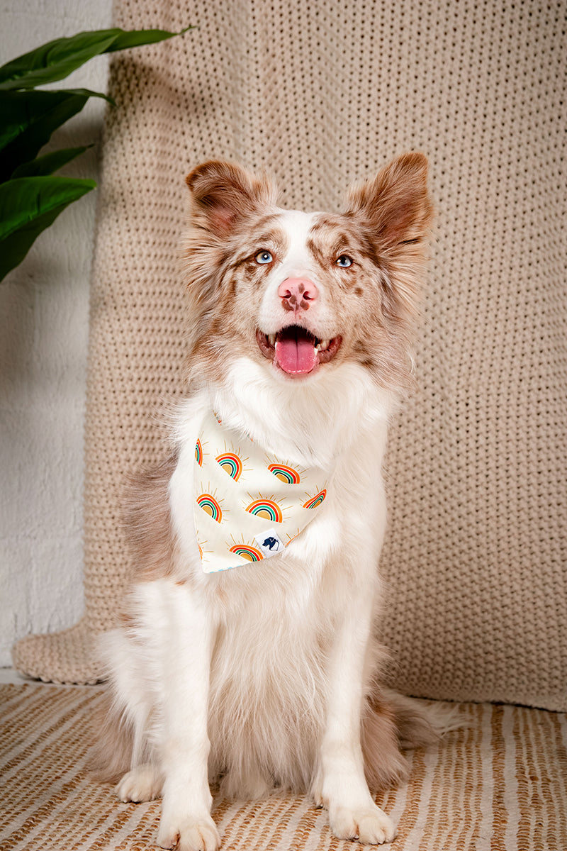 Sunny Side Reversible Dog Bandana by Dog Bandana Co.