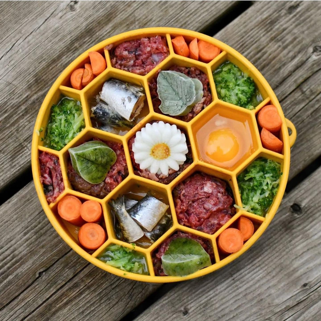 Honeycomb eBowl Deep Slow Feeder Dog Bowl for Enrichment | USA Made by SodaPup/True Dogs, LLC