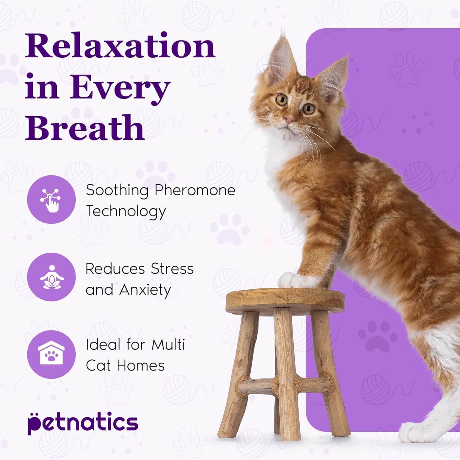 Purrfect Cat Calming Diffuser Kit with 2 Refills by Petnatics