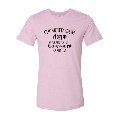 Promoted from Dog Grandma to Human Grandma T-Shirt by Furr Baby Gifts