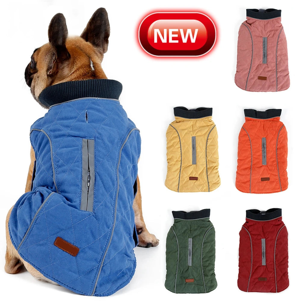 Reflective Big Dog Down Jacket