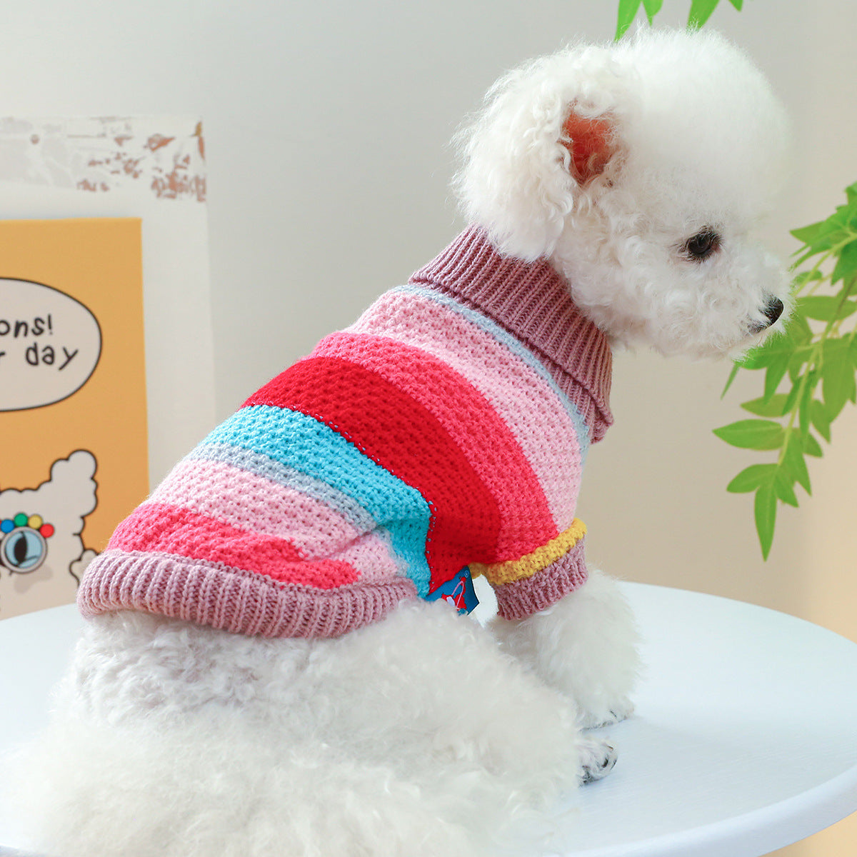 Comfortable Colorful Sweater by VetsPetStore