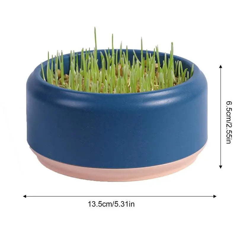 Hydroponic Box, Cat Grass Plant Bowl