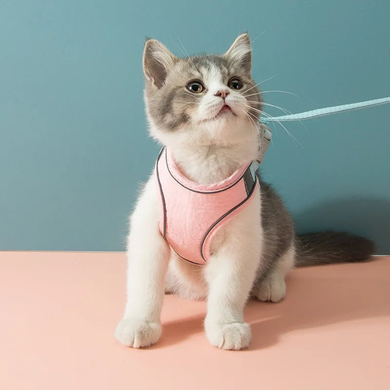 Pet Harness and Leash Set by Love My Pet