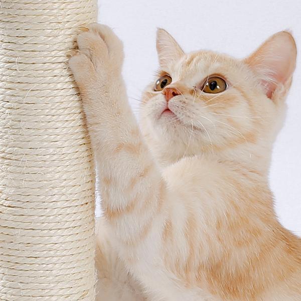Indoor Cat Soft Scratching Board And Interactive Ball by VetsPetStore