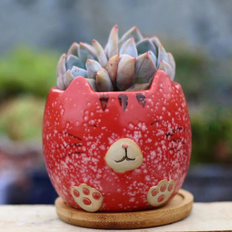 Cartoon Succulent Plant Pot Cat Animal Flowerpot4Pcs/Set by Love My Pet