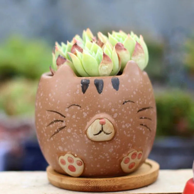 Cartoon Succulent Plant Pot Cat Animal Flowerpot4Pcs/Set by Love My Pet