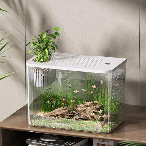 ABS Fish Tank Transparent with Lid by Love My Pet