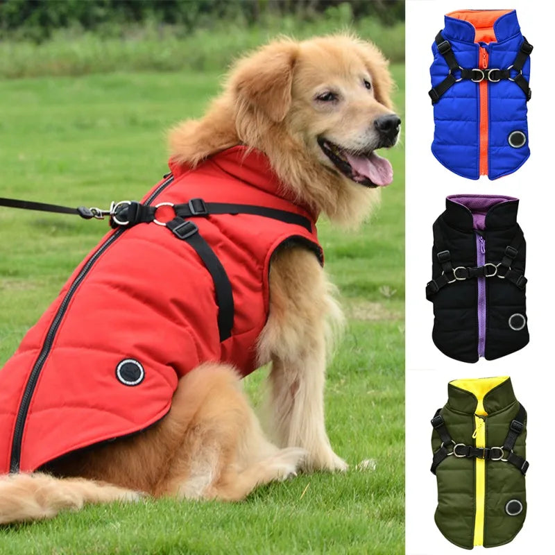 Winter Pet Jacket With Buckle by Love My Pet
