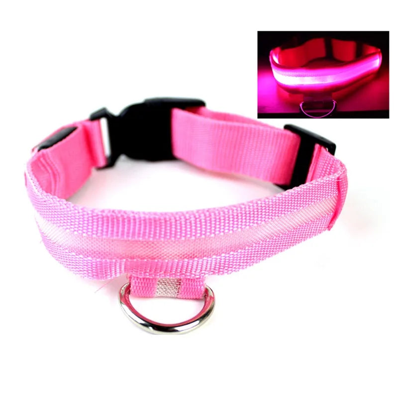Nylon LED Pet Dog Collar USB Charging by Love My Pet