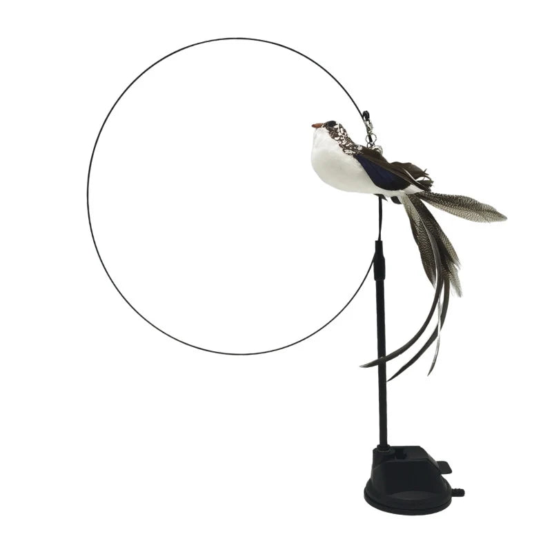 Interactive Cat Toy Feather Bird with Multiple Options by Love My Pet