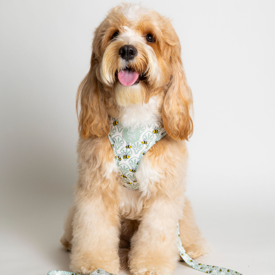 Little Honey Adjustable Harness by EverWoof