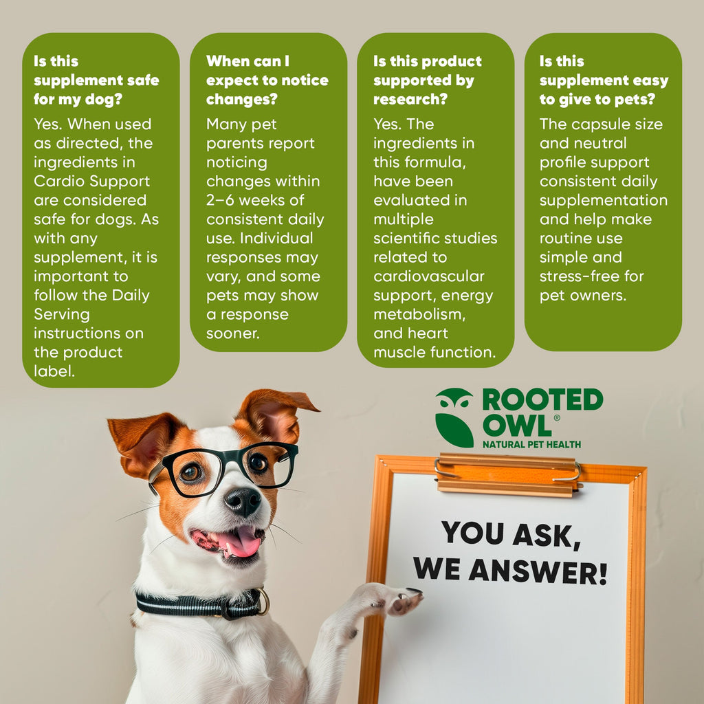 Cardio Support by Rooted Owl Pet Supplements