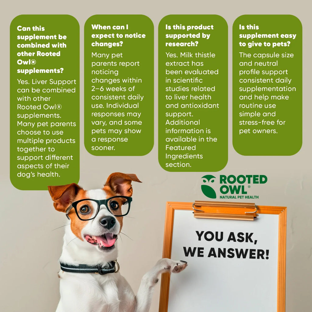 Liver Support by Rooted Owl Pet Supplements