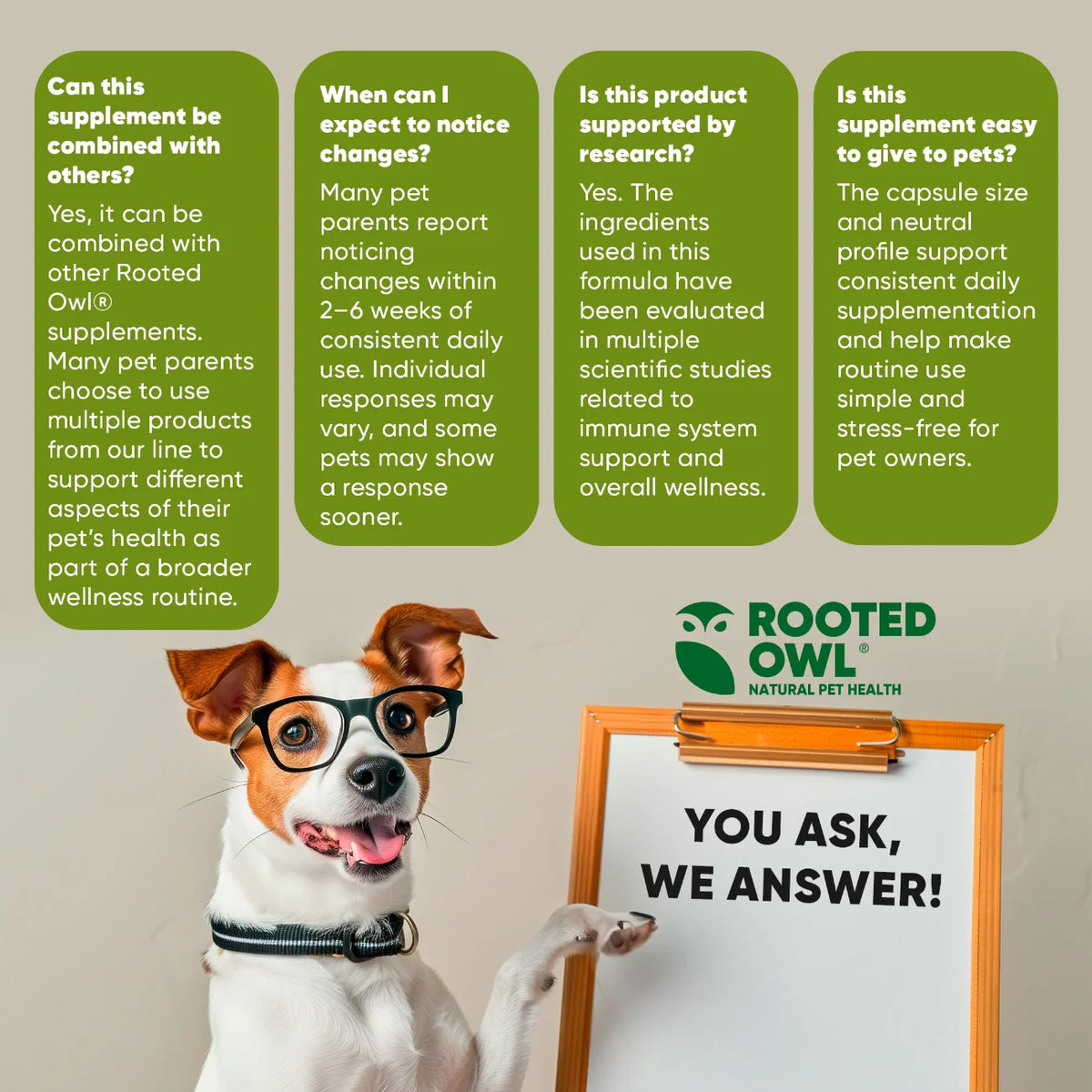 Mushroom Immune Support by Rooted Owl Pet Supplements