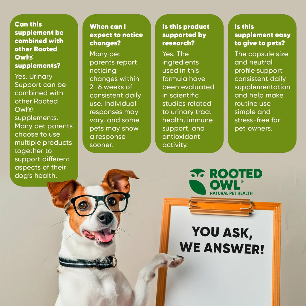 Urinary Support by Rooted Owl Pet Supplements