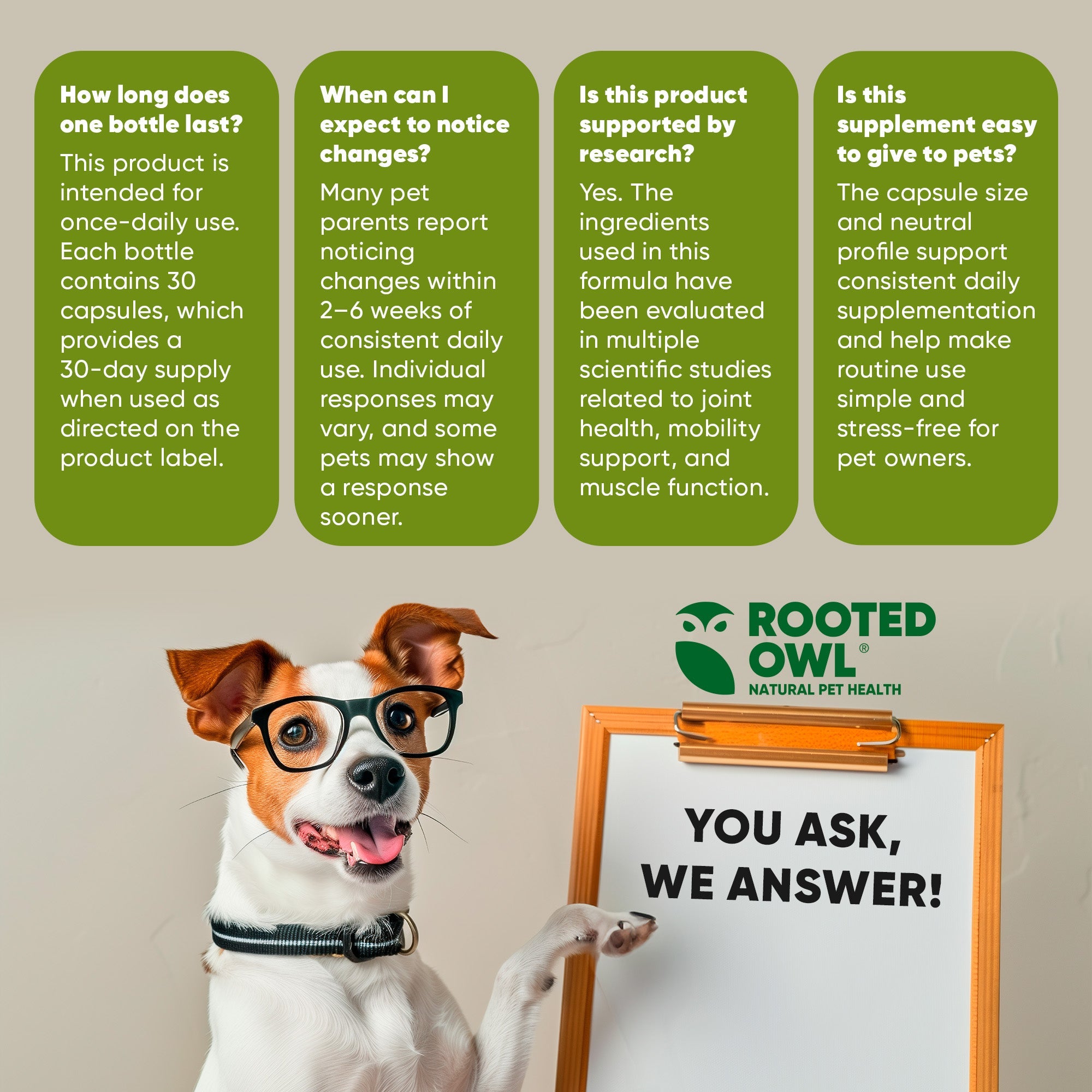 Joint & Muscle Health (Cats & Small Dogs) by Rooted Owl Pet Supplements