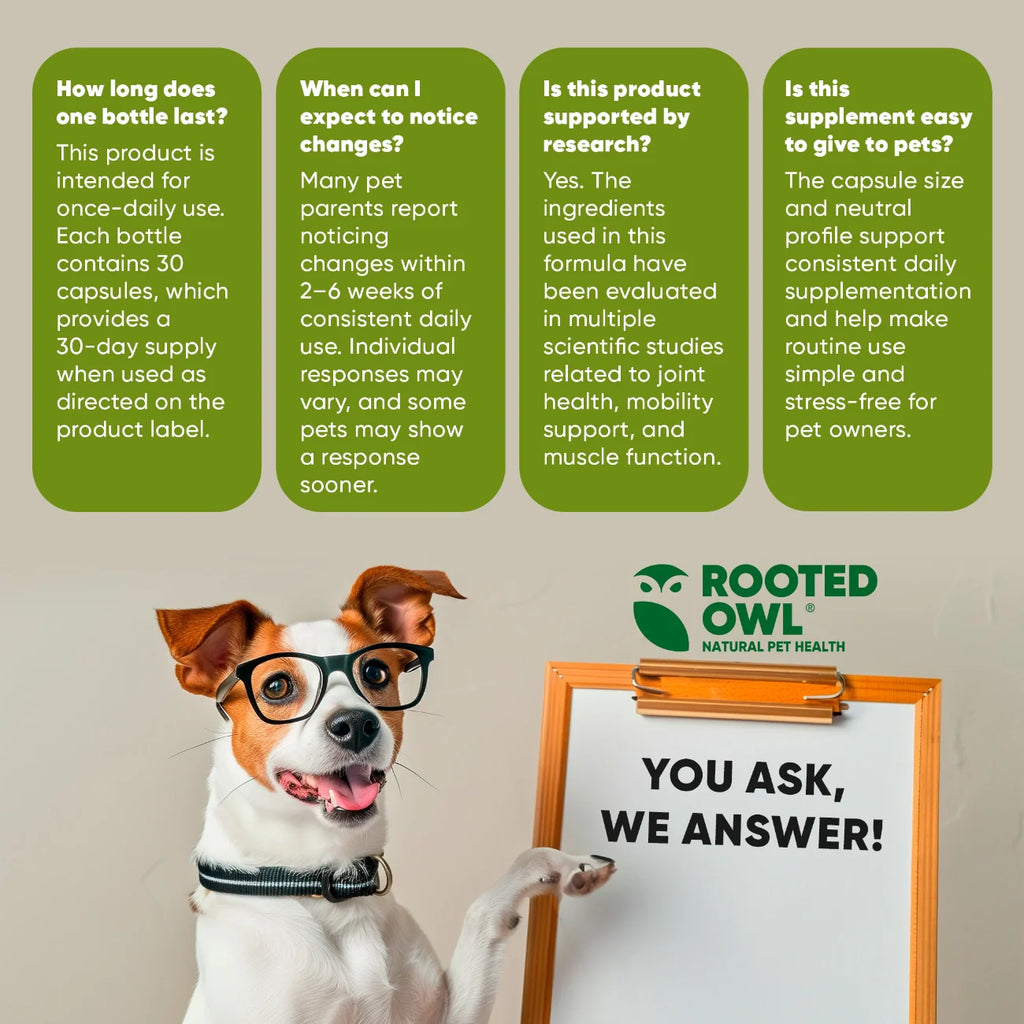 Joint & Muscle Health by Rooted Owl Pet Supplements