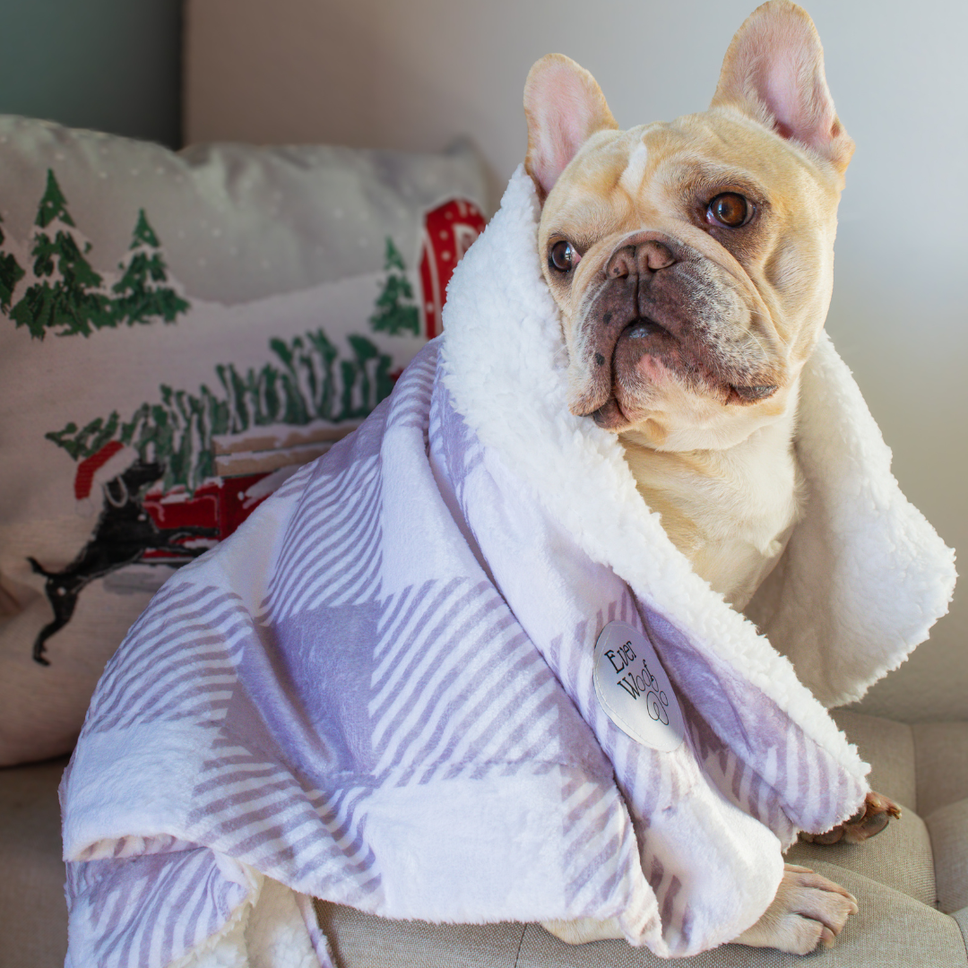 Sugar Plum Dog Blanket by EverWoof