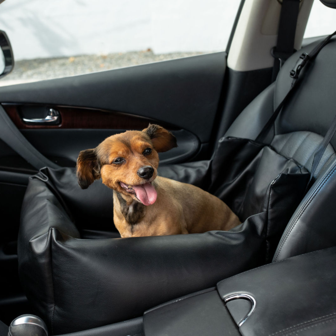 PupProtector™ Faux Leather Memory Foam Dog Car Bed - Black by Paw.com